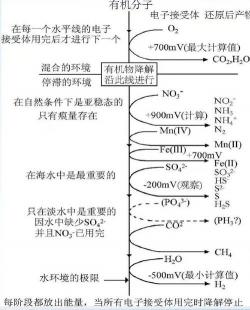 深入了解硝酸盐：组成、转化与还原性的探索