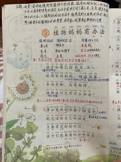 植物妈妈的智慧：揭晓种子传播的三大方法