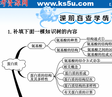 氨基酸：生命的基石，身体的关键组成部分