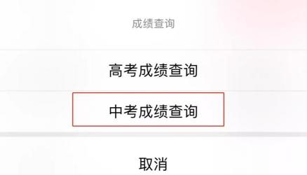 中考查分数攻略：多种渠道、注意事项及成绩解读