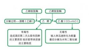 医用酒精和工业酒精的区别：制备、用途与注意事项