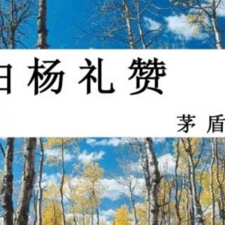 《白杨礼赞》的写作背景：茅盾在民族解放斗争中的心灵赞歌