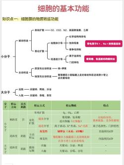 细胞膜的功能：信息交流、物质转运与环境分隔