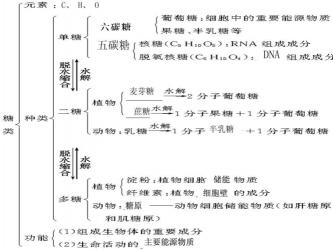 植物细胞膜的主要成分：脂类、蛋白质和糖类