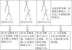 揭秘分解质因数：定义、方法与实例解析