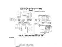 细胞的生活：生物体基本结构和功能单位的奥秘