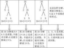 揭秘分解质因数：定义、方法与实例解析