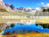 不知所措的'措'是什么意思：探索词语背后的含义和用法